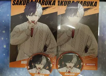 윈블 조이 사운드 벚꽃