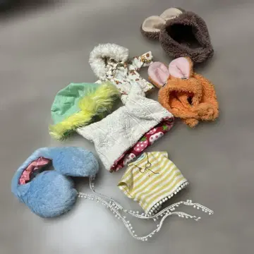 브라이스용 모자와 의류 세트