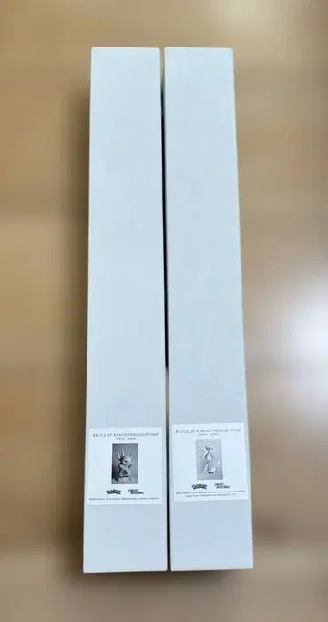 [ 새상품 미개봉 ] Daniel Arsham x Pokemon 포스터