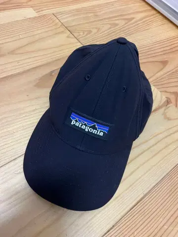 Patagonia 블랙 캡 스냅백