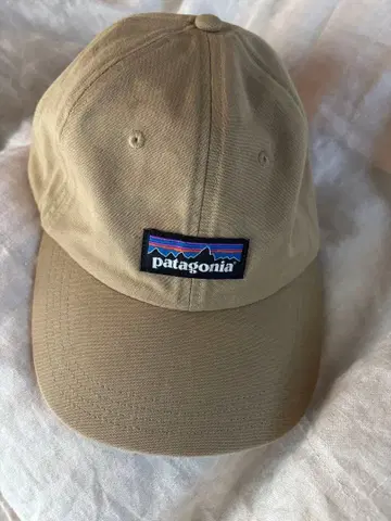 patagonia 베이지 캡