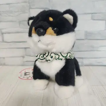 CUTE 큐트 블랙 마메시바 앉아 S 봉제 인형