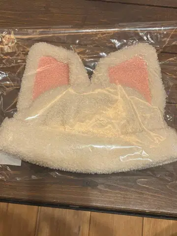 straykids 스키즈 아이엔 폭시니 보아캡 dominate