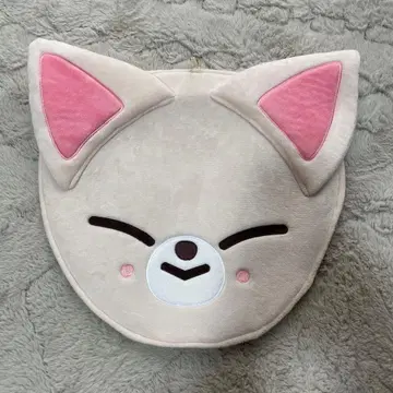 straykids 아이엔 I.N 부채 커버 부채 케이스