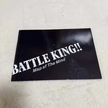 ONE N' ONLY 배틀킹 팜플렛 BUDDiiS