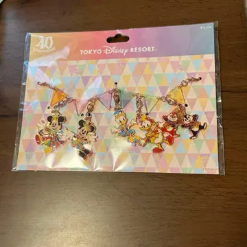 메탈 참 도쿄 디즈니랜드 40주년