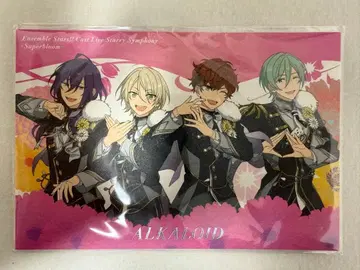 미개봉 앙스타 스타포니 4th 라이브 특전 한정판 포스카