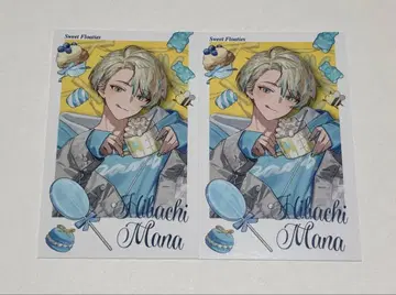 히바치마나 Sweet Floaties 랜덤 폴라로이드풍 카드