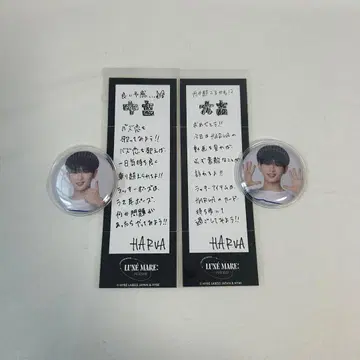 &TEAM 하루아 HARUA 월파 캔뱃지 복권