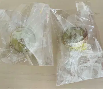 프로세카 카가미네 렌 반지 라이트 세트