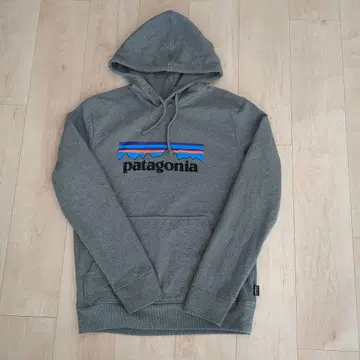 patagonia 그레이 후드티 XS