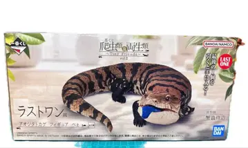 파충류&양서류 vol.2 라스트 원 아오지타 도마뱀 피규어 뻬