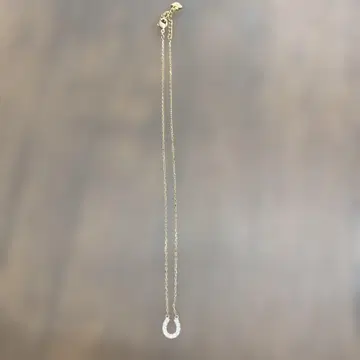 SWAROVSKI 말굽 목걸이 여성용