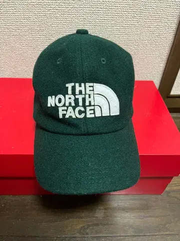 THE NORTH FACE 다크 그린 캡