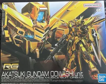 RG 아카츠키 (오오와시 장비), 시라누이 팩 세트