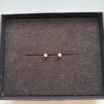 골드 스터드 귀걸이