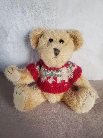 베이지 테디베어 빨간색 니트 스웨터