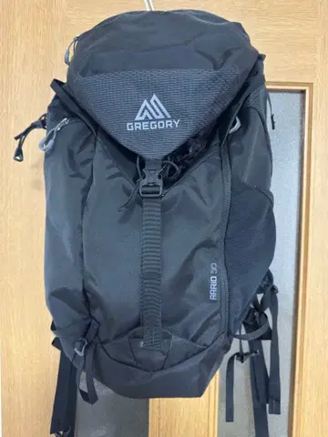 그레고리 아리오 30