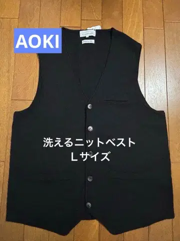 LIFE & WORK DESIGN 블랙 V넥 베스트 L