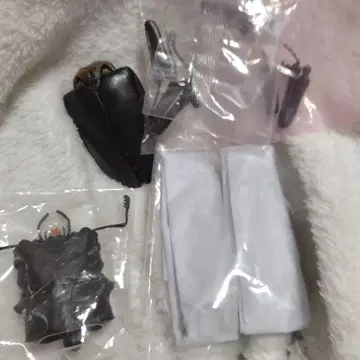 하자품 생물대도감 어드밴스 케이스케이 파 사슴벌레 곤충