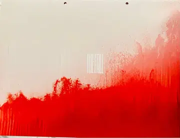 낙하의 왕국 팜플렛 일반 버전 1권