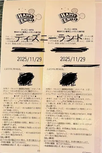 디즈니랜드 해피 응모 입장권 2매