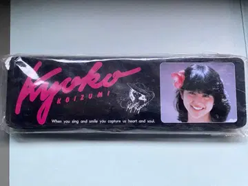 Kyoko Koizumi 아이돌 굿즈 캔 필통 새상품급