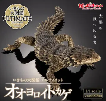 생물대도감 얼티밋 오오요로이도마뱀 미개봉 새상품 5