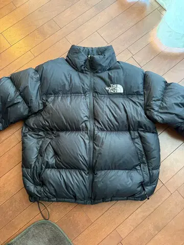 THE NORTH FACE 1996 ECO NUPTSE JACKET