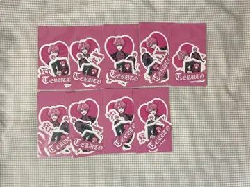 테루토 군 스티커 세트 KnightX