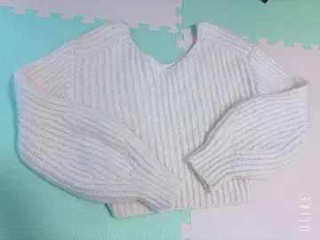 snidel 스나이델 니트 숏 니트 리브