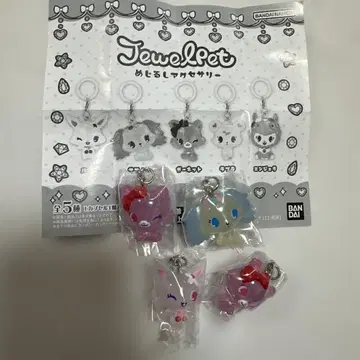 주얼펫 메지루시 액세서리