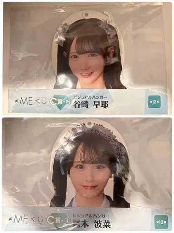 타니자키 사야 오기 하나 비주얼 행거 노이미 제일복권 C상