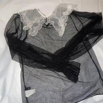 레이스 옷깃 시스루 긴팔 상의