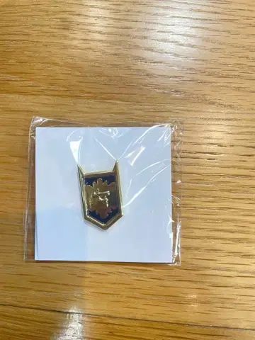 마계의 살인마! 이루마 군 입장 혜택 위계의 장 핀 배지 랭크 4 달레스