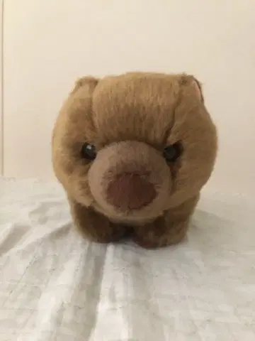 고사츠야마 동물원 웜뱃 봉제 인형