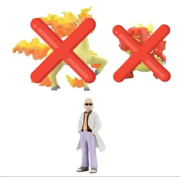 포켓몬 스케일 월드 카츠라 가발 미사용