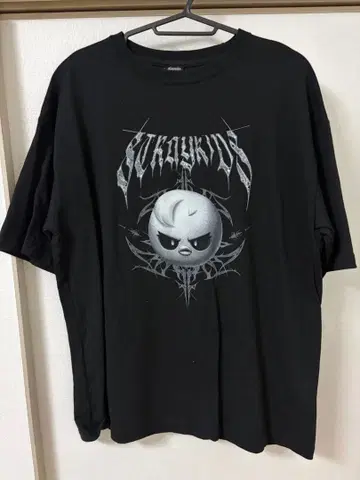 straykids 스키즈 T 포가리