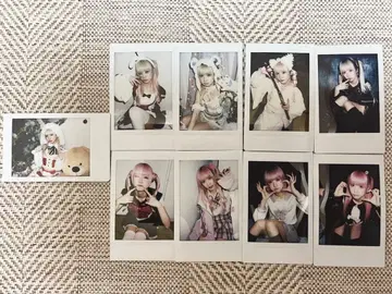 슈뢰딩거의 개 이치 폴라로이드