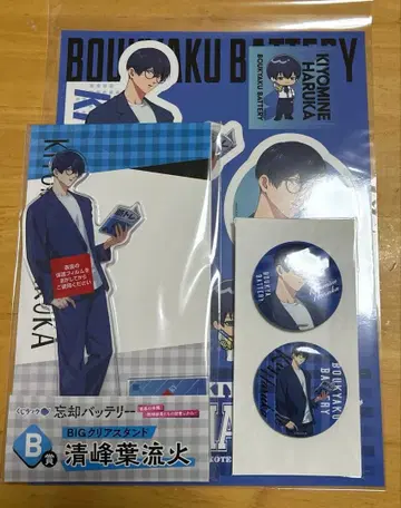 망각 배터리 복권 랙 청봉 엽류화