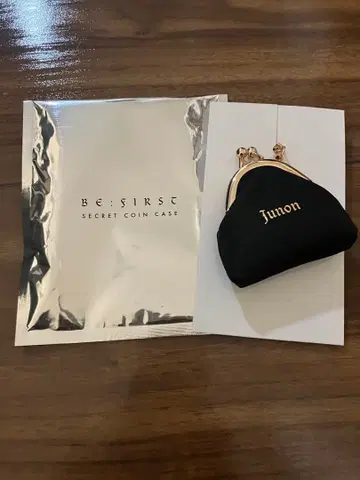 비퍼스트 코인 케이스 준논