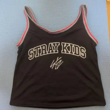 STRAY KIDS 메쉬 토트백