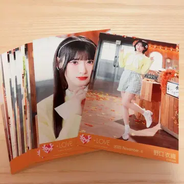 이코럽 코모레비 메조포르테 생사진 27장 세트