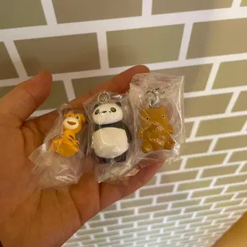 팬더코팬더 메지루시 액세서리