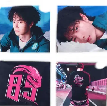 왕이보 85 라코스테 야외 탐험 2 쿠션 커버 4