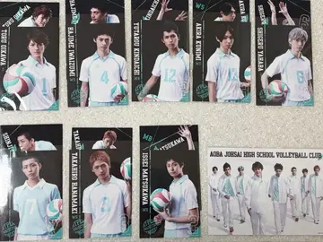 하이큐!! 하이스테 초대 아오바죠사이 브로마이드 특전 포함