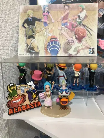 원피스 월드 컬렉션 동료의 증표