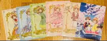 카드캡터 사쿠라 클리어 파일 묶음 판매