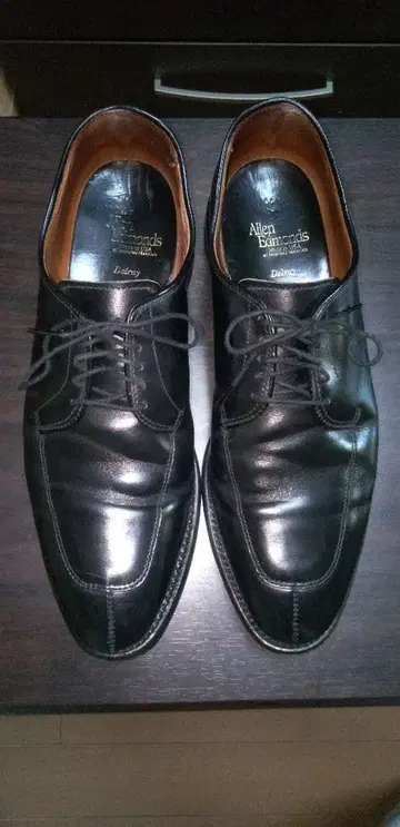 Allen Edmonds Delray 9.5D 알렌 에드몬즈 델레이