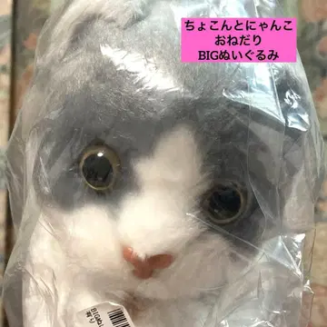 콩콩 냥코 봉제 인형 하치와레 조르기 고양이 귀여운